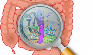 Gut Health- Top Tips to Maintain Healthy Bacteria (MicroBiome)