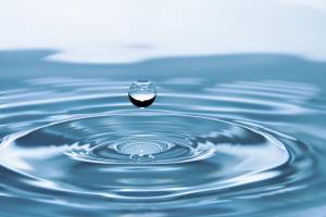 Sustainability, Make a Difference Today!